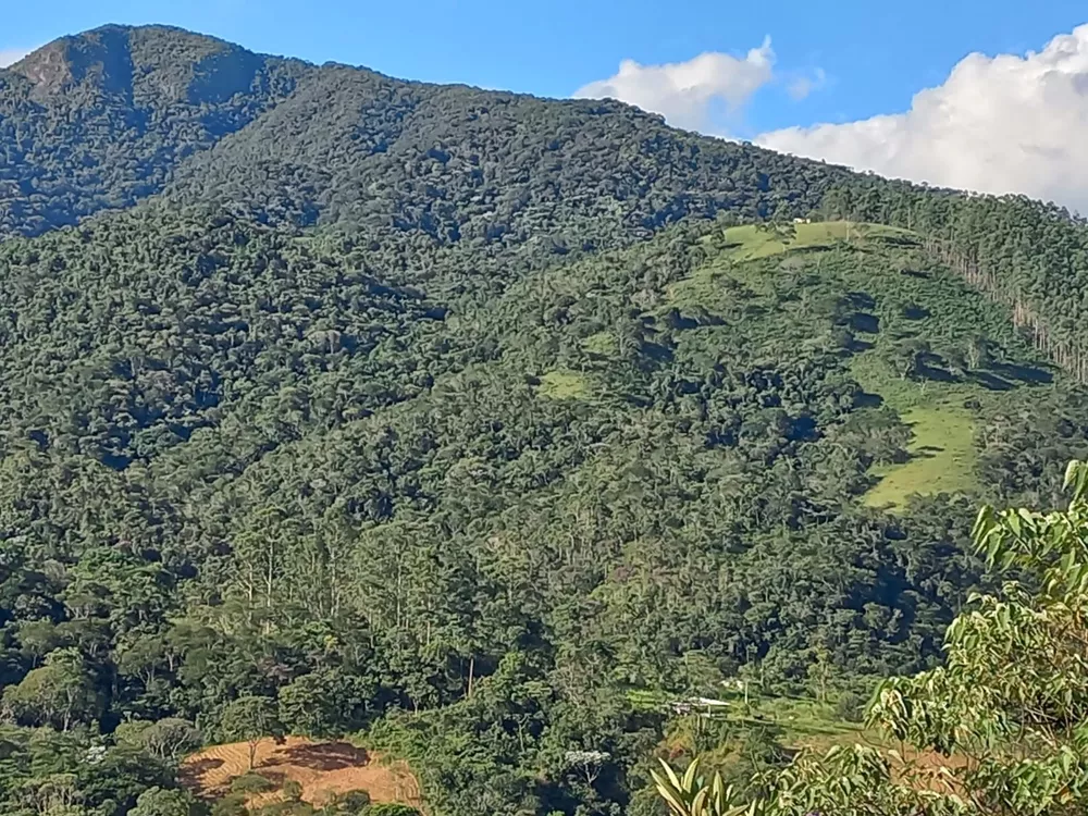 Haras e Área Rural Padrão à venda, 70m² - Foto 4