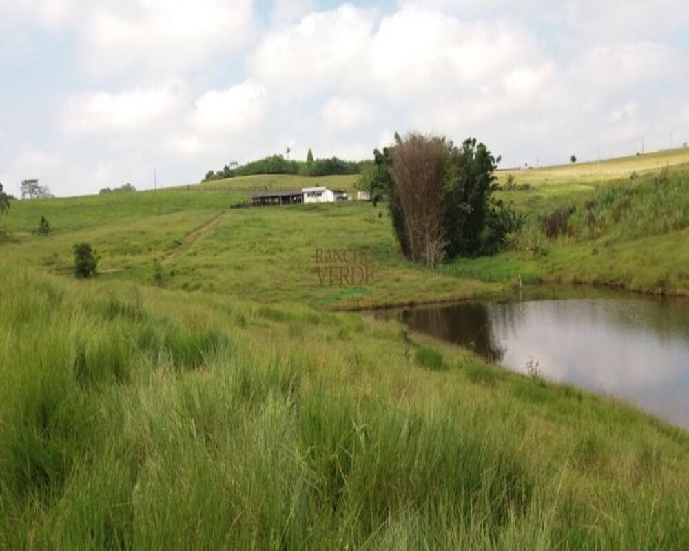 Sítio à venda com 4 quartos, 242000m² - Foto 2