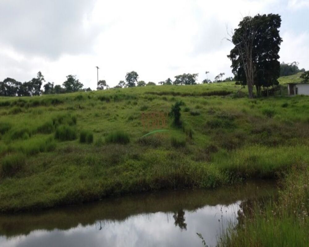 Sítio à venda com 4 quartos, 242000m² - Foto 3