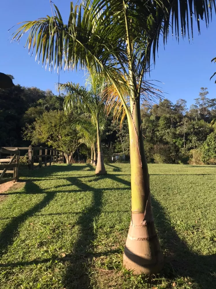 Fazenda, 100 m² - Foto 15