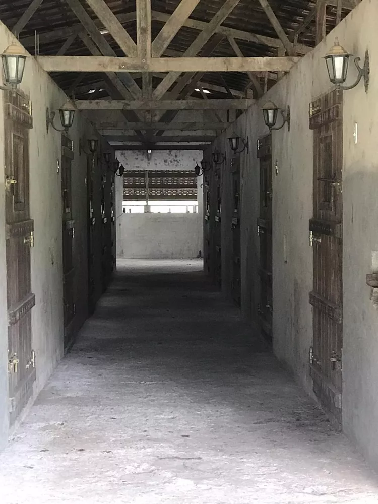 Fazenda, 100 m² - Foto 42