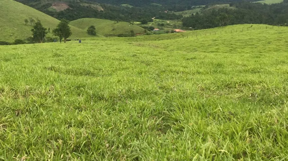 Fazenda, 100 m² - Foto 45