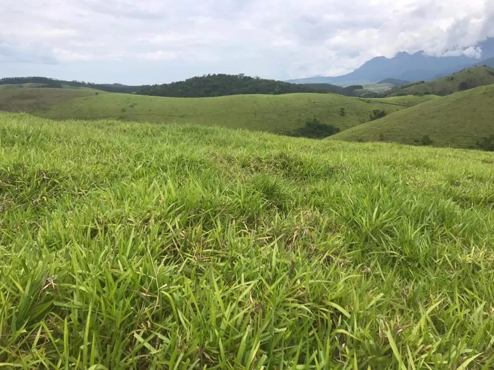 Fazenda, 100 m² - Foto 20