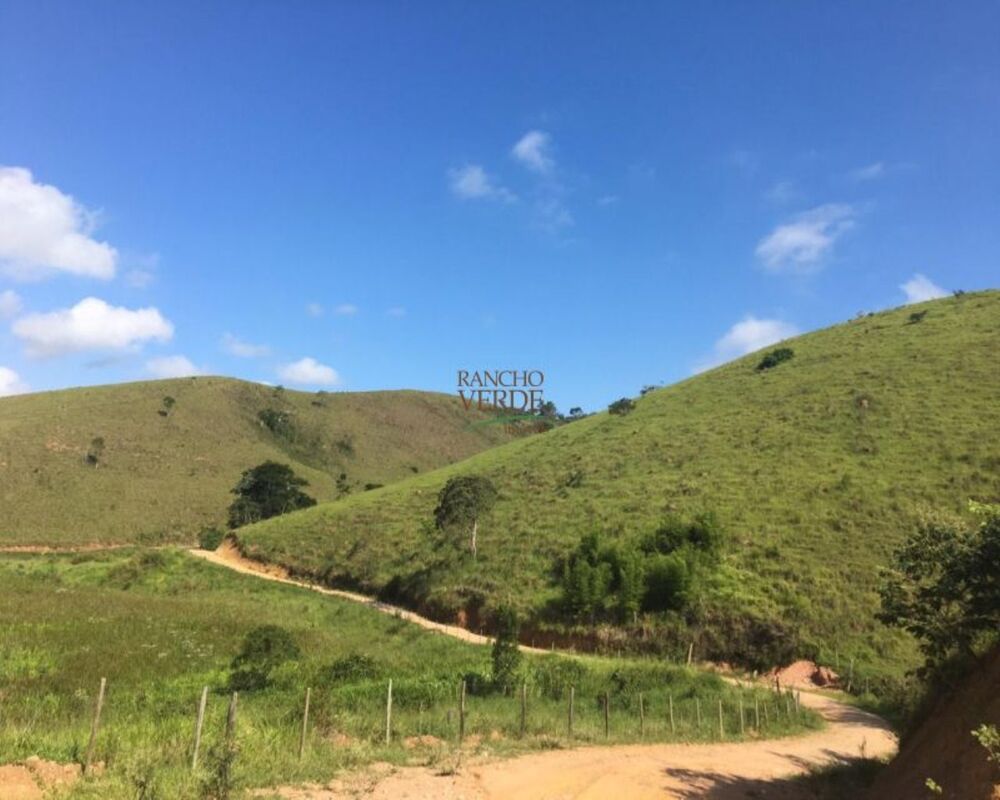 Fazenda, 242 hectares - Foto 13