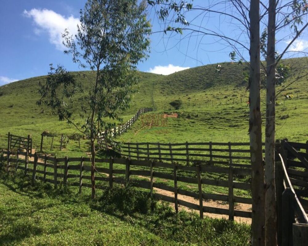 Fazenda, 242 hectares - Foto 7