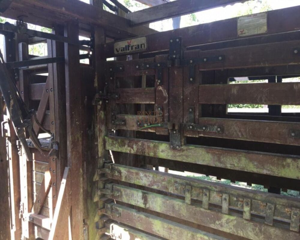 Fazenda, 242 hectares - Foto 22