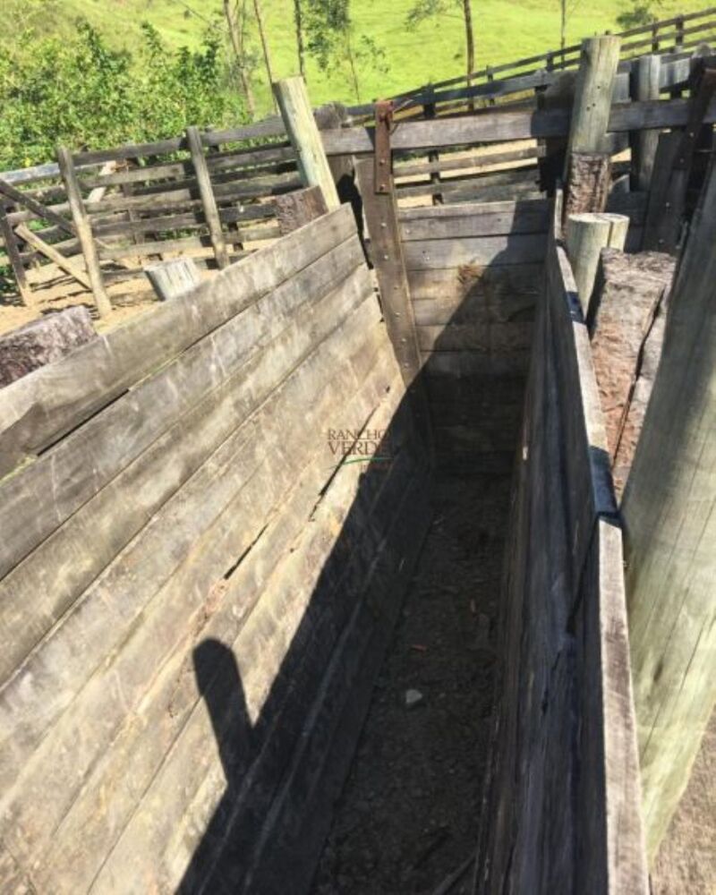 Fazenda, 242 hectares - Foto 19