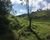 Fazenda-Sítio-Chácara, 242 hectares - Foto 4