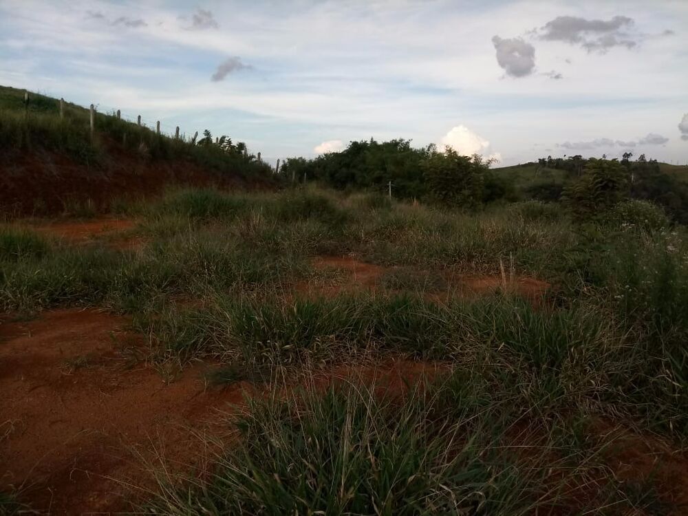 Fazenda, 2800 m² - Foto 4
