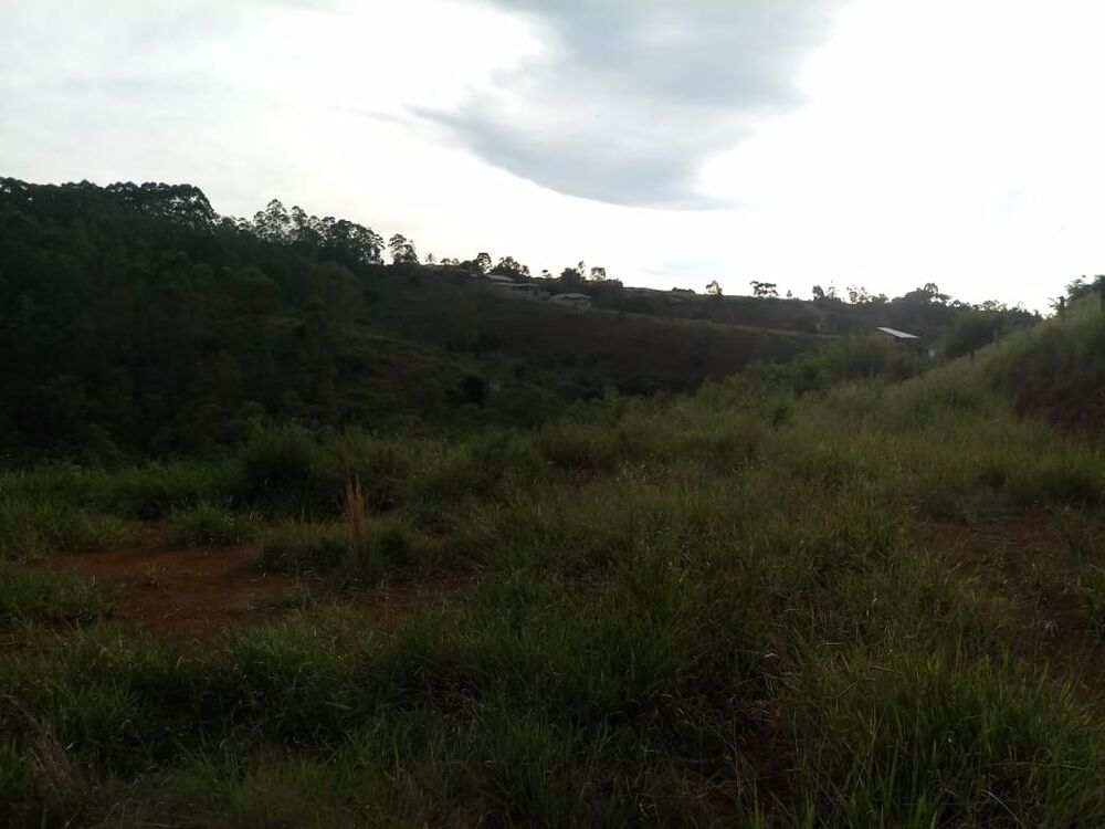 Fazenda, 2800 m² - Foto 3