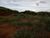 Fazenda, 2800 m² - Foto 4