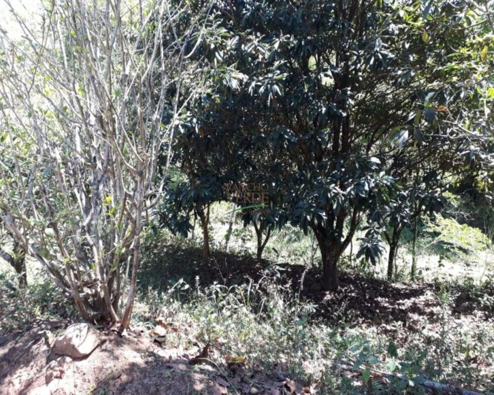 Sítio à venda com 3 quartos, 246840m² - Foto 5
