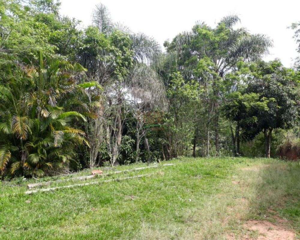 Sítio à venda com 3 quartos, 246840m² - Foto 16