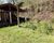Sítio, 3 quartos, 25 hectares - Foto 21