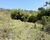 Sítio, 3 quartos, 25 hectares - Foto 18