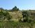 Sítio, 3 quartos, 25 hectares - Foto 12