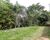 Sítio, 3 quartos, 25 hectares - Foto 16