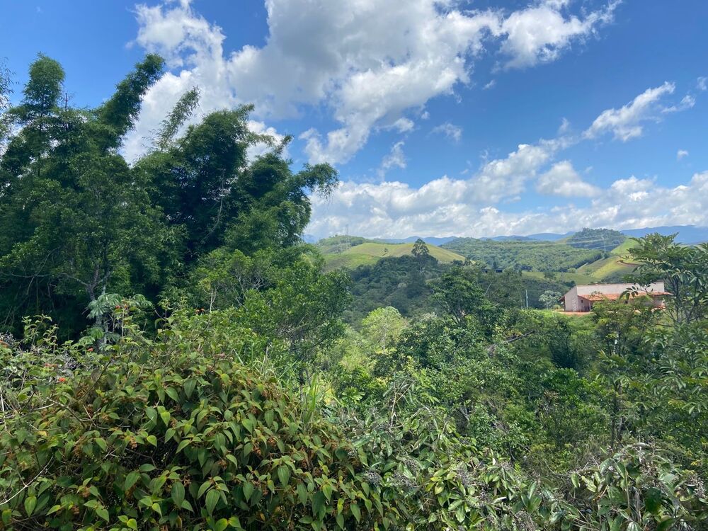Chácara à venda com 3 quartos, 9000m² - Foto 5