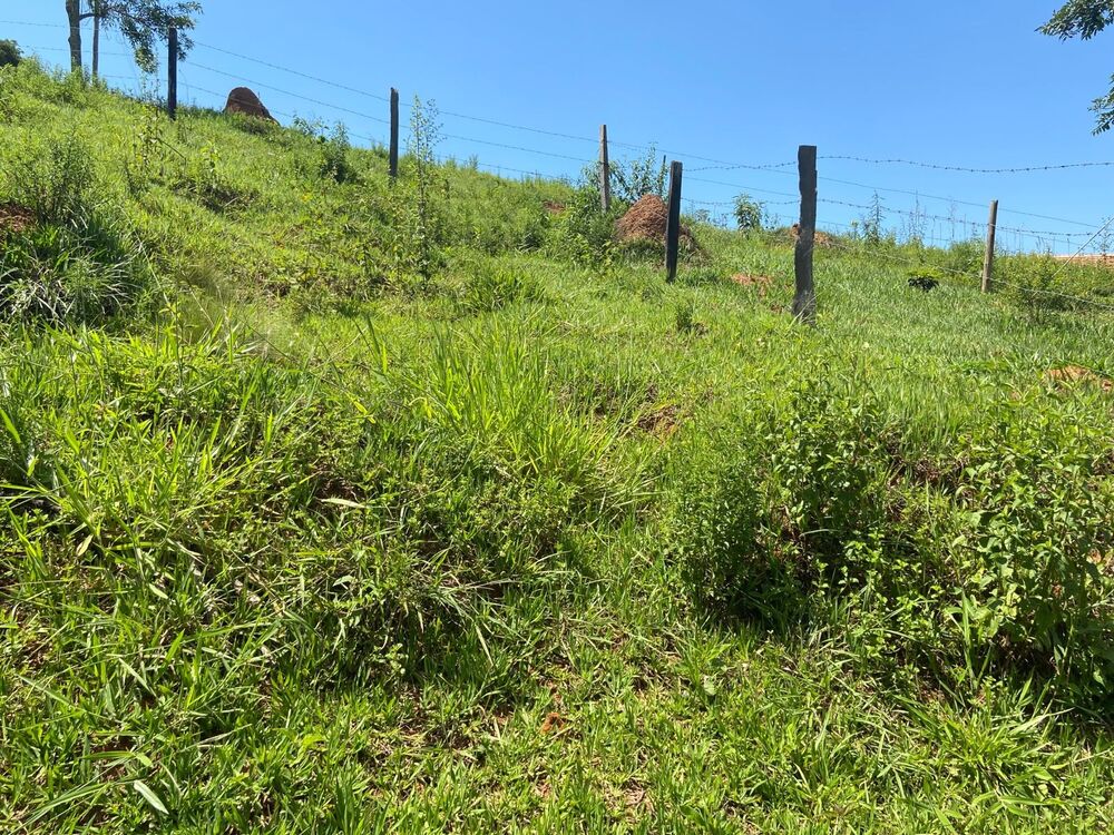 Chácara à venda com 3 quartos, 9000m² - Foto 7