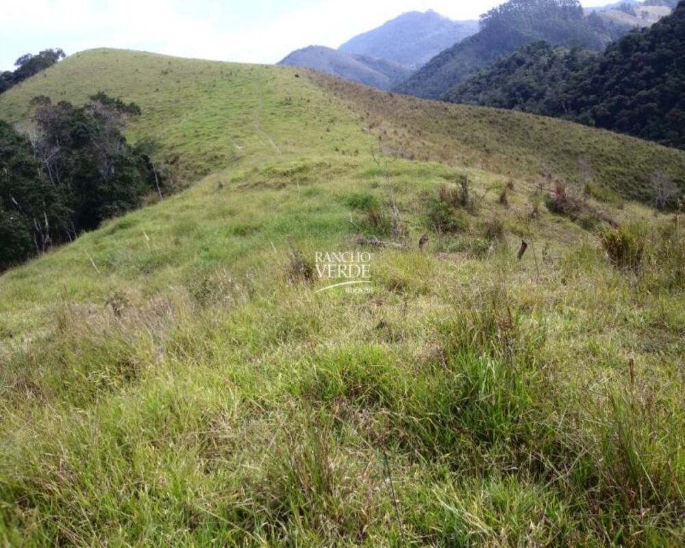 Fazenda, 29 hectares - Foto 28