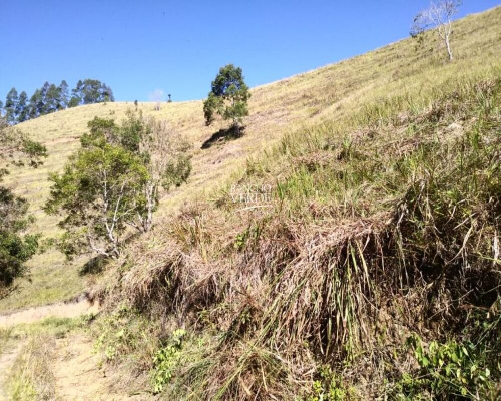 Fazenda, 29 hectares - Foto 1