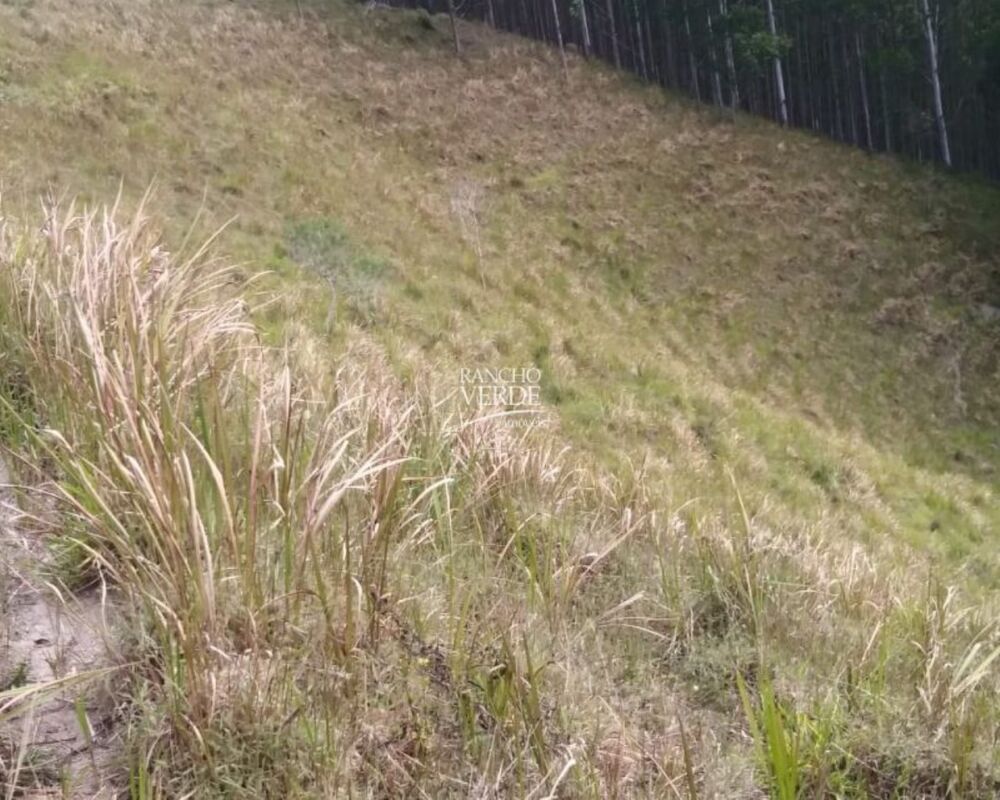 Fazenda, 29 hectares - Foto 10