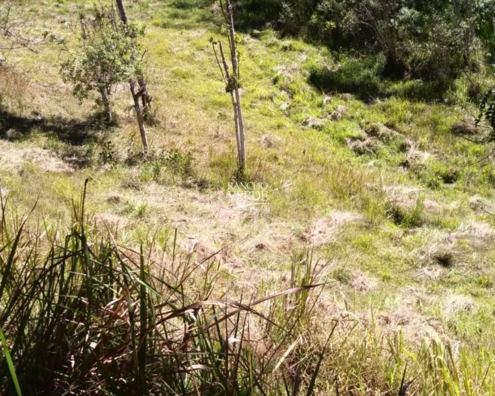 Fazenda, 29 hectares - Foto 5