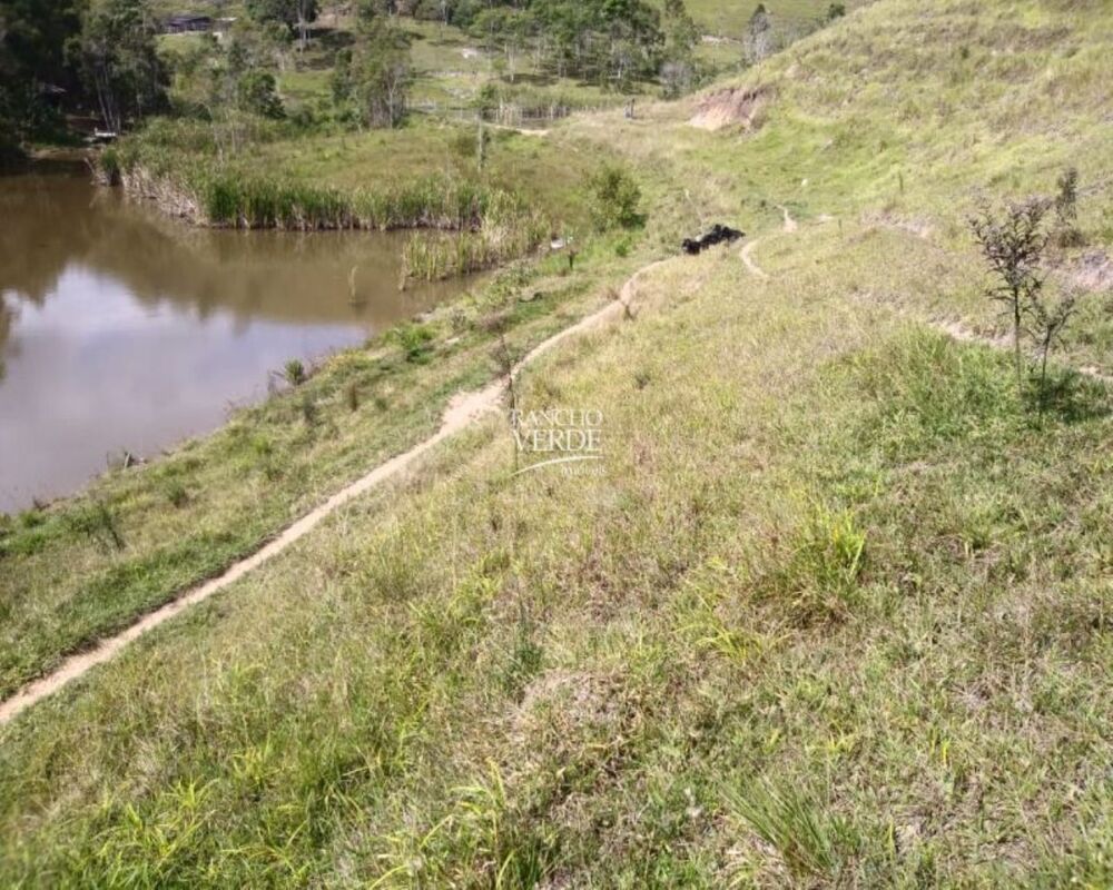 Fazenda, 29 hectares - Foto 15