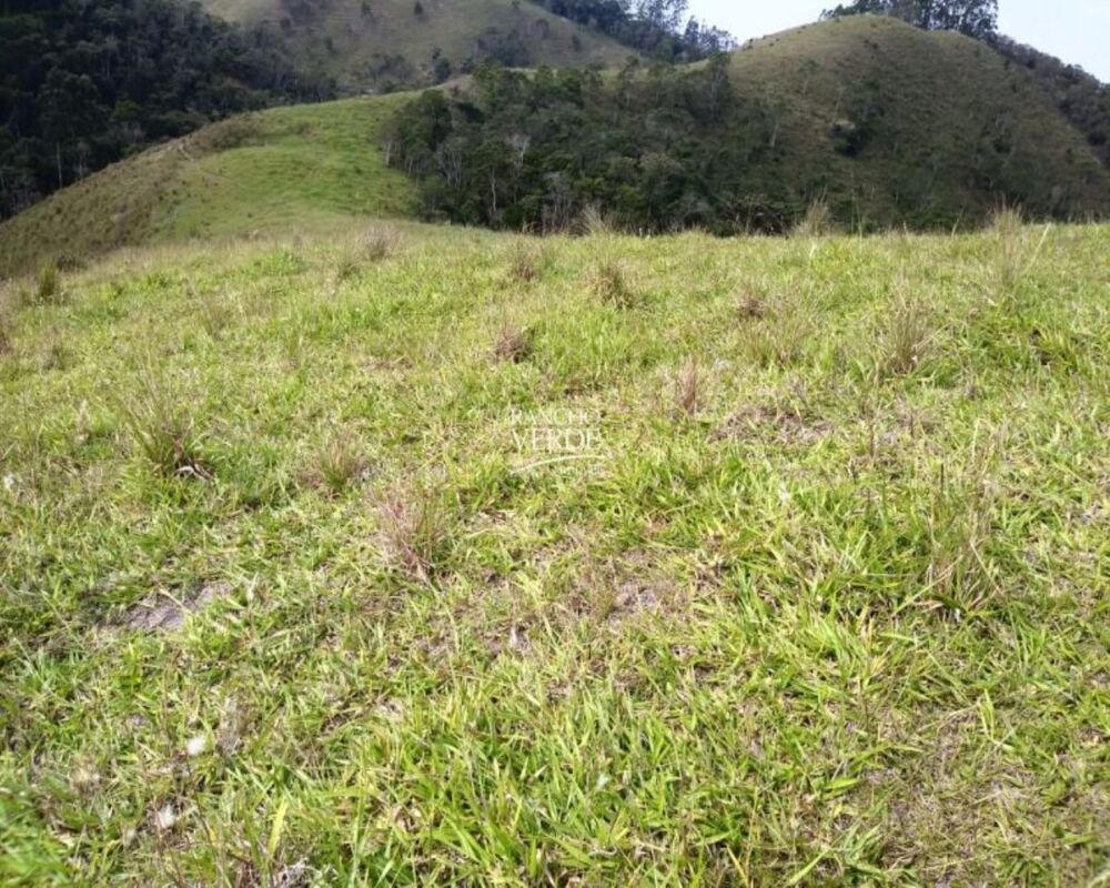 Fazenda, 29 hectares - Foto 13