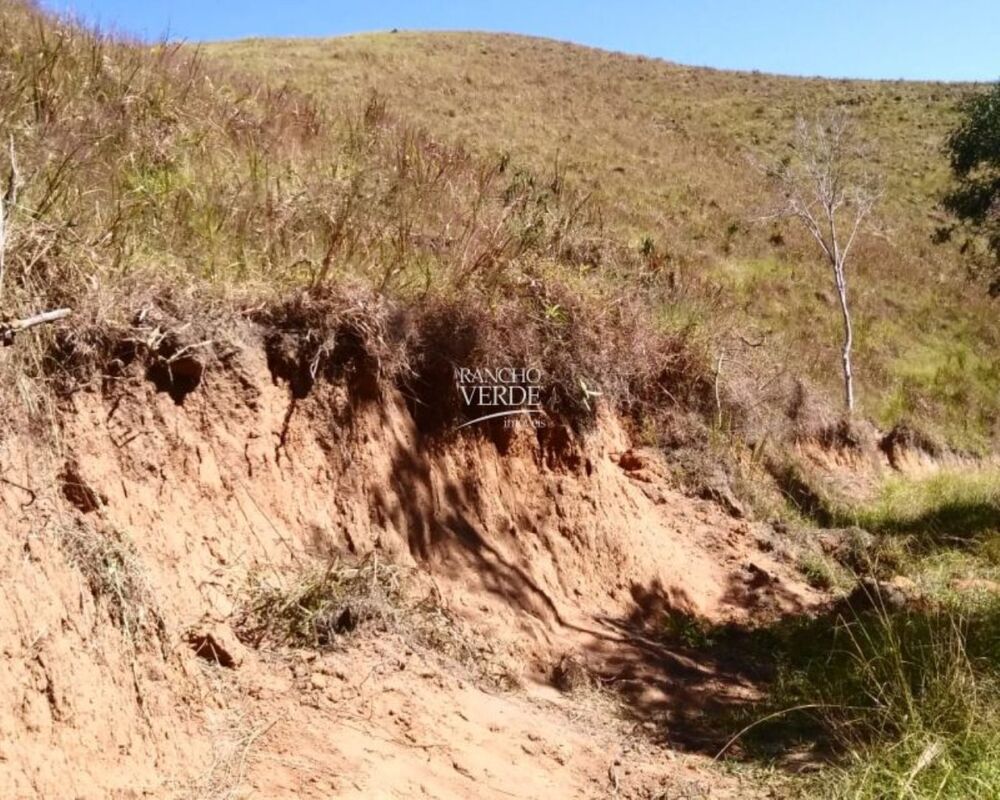 Fazenda, 29 hectares - Foto 4