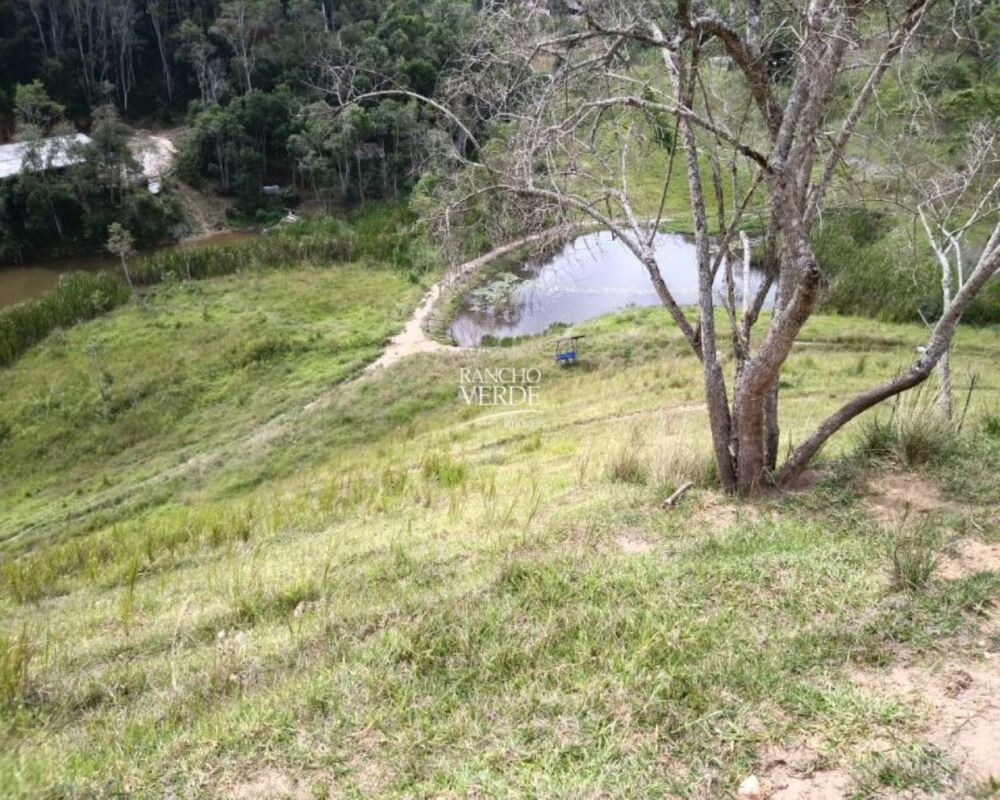 Fazenda, 29 hectares - Foto 12