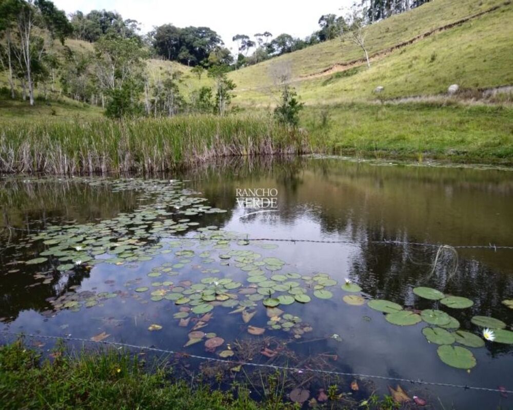 Fazenda, 29 hectares - Foto 16