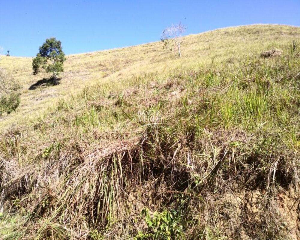 Fazenda, 29 hectares - Foto 7