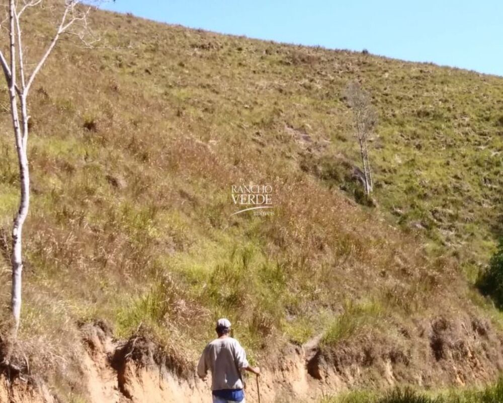 Fazenda, 29 hectares - Foto 9