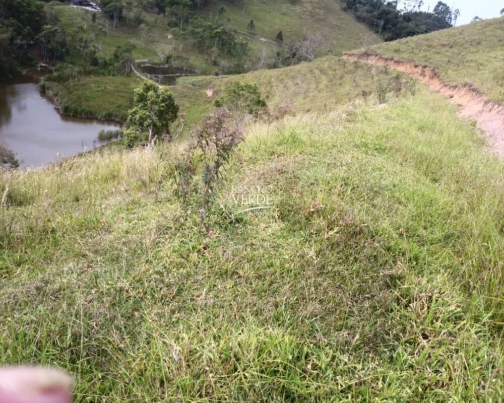 Fazenda, 29 hectares - Foto 29