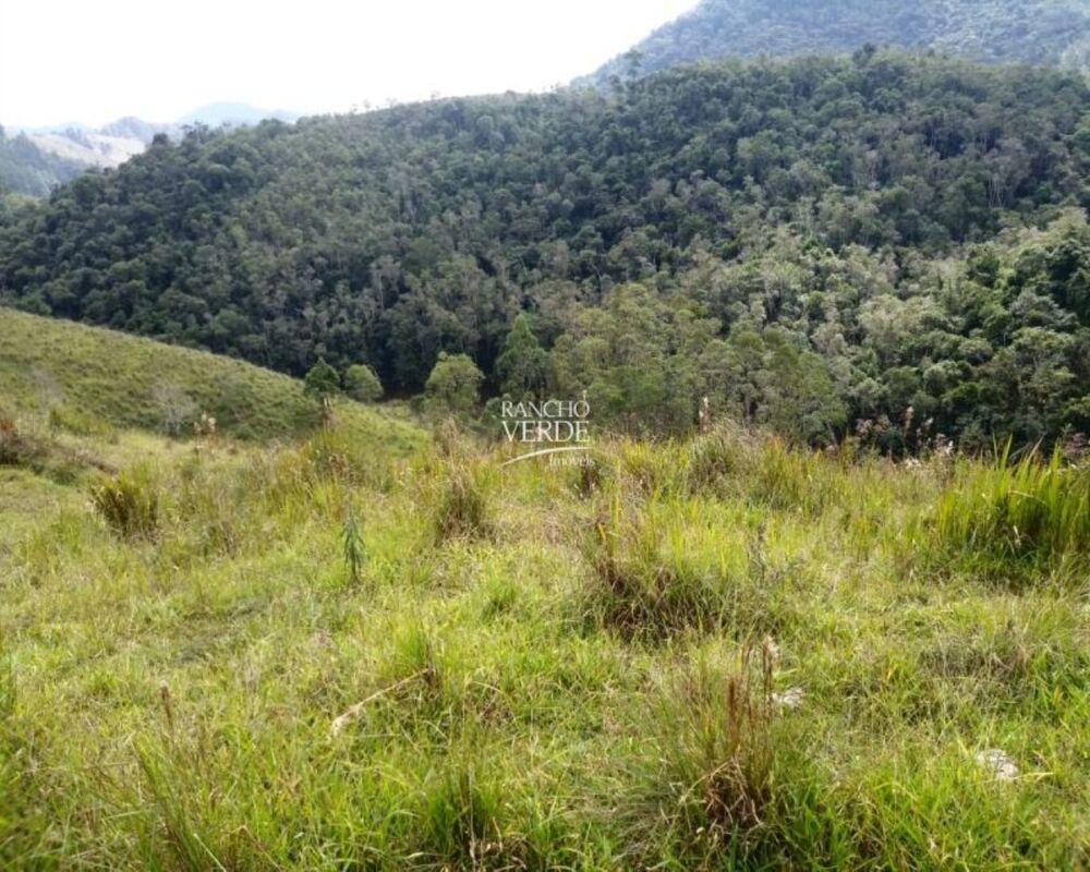 Fazenda, 29 hectares - Foto 26