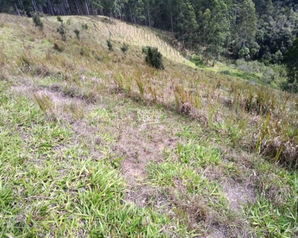 Fazenda, 29 hectares - Foto 22