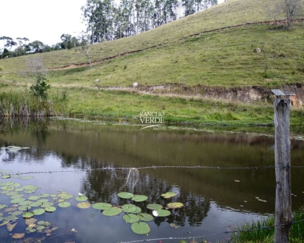 Fazenda, 29 hectares - Foto 17