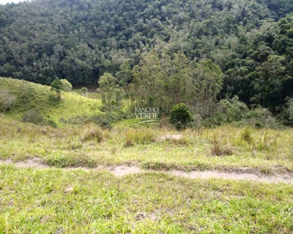 Fazenda, 29 hectares - Foto 21