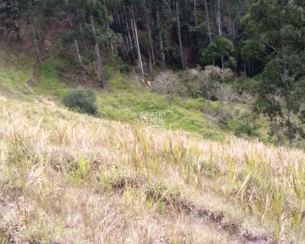 Fazenda, 29 hectares - Foto 14