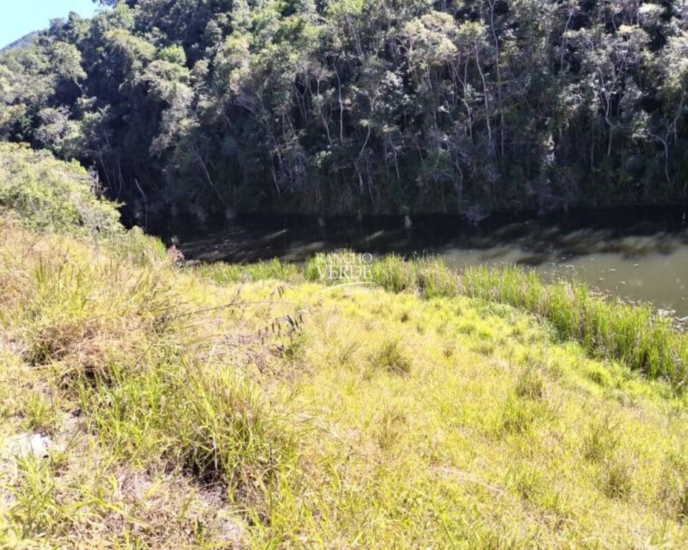 Fazenda, 29 hectares - Foto 3