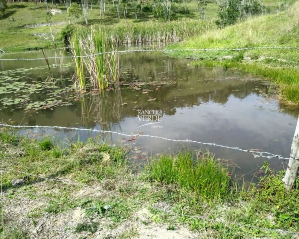 Fazenda, 29 hectares - Foto 18