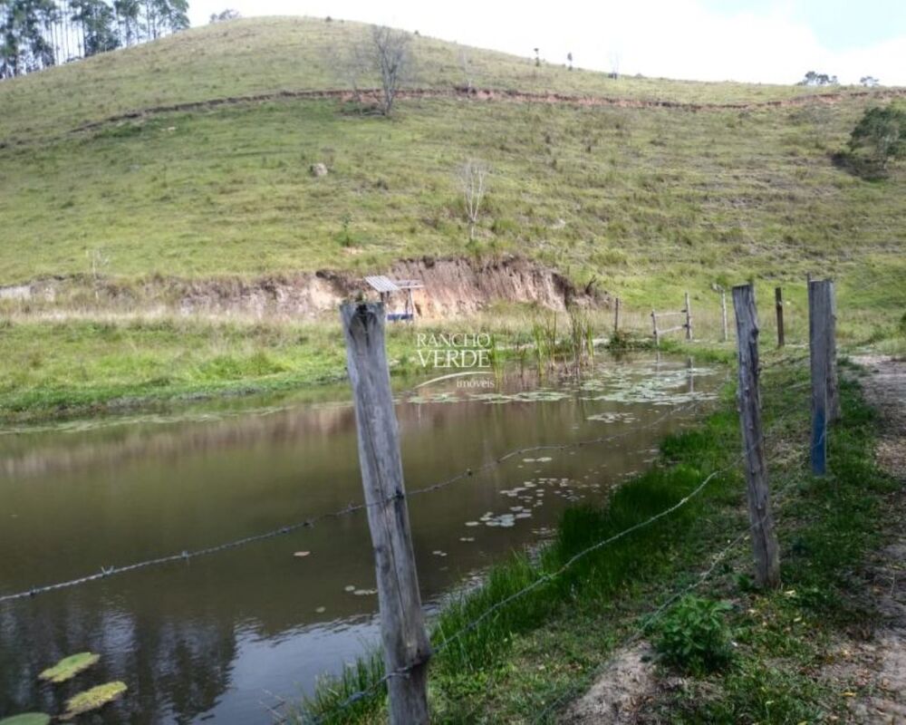 Fazenda, 29 hectares - Foto 25