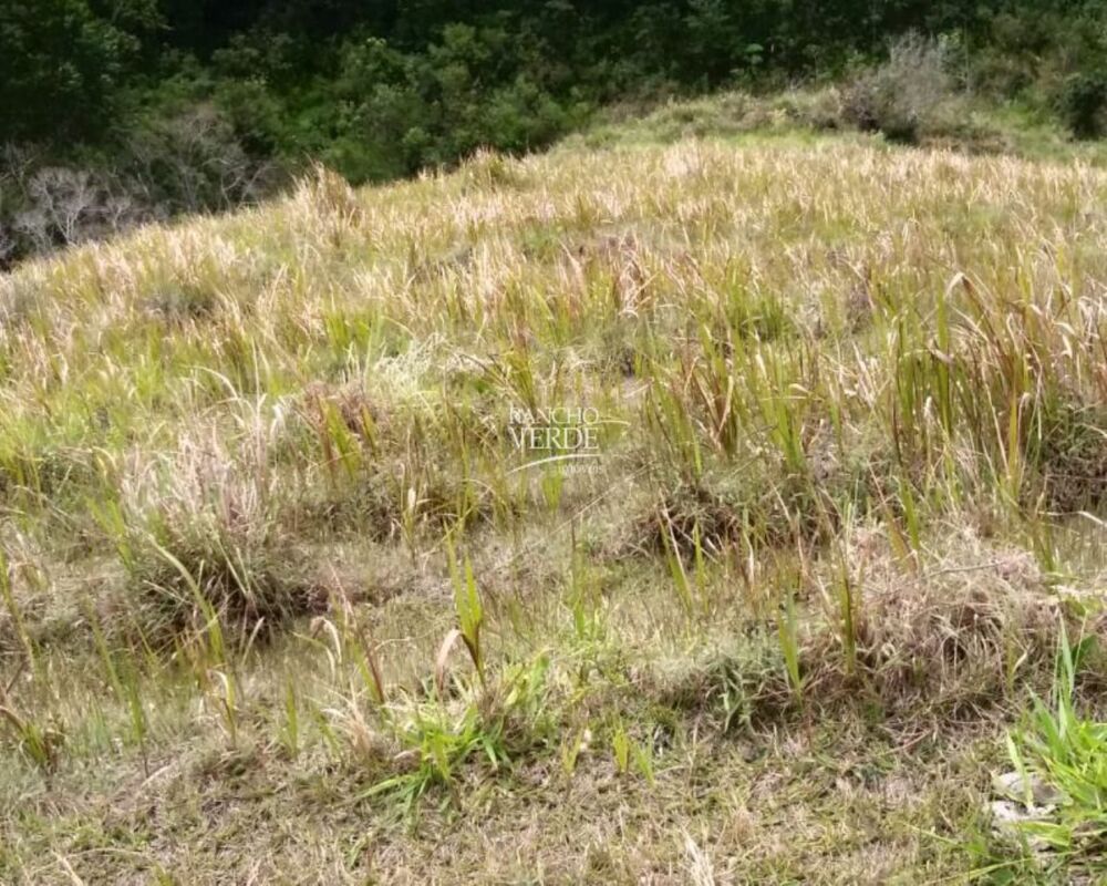 Fazenda, 29 hectares - Foto 2