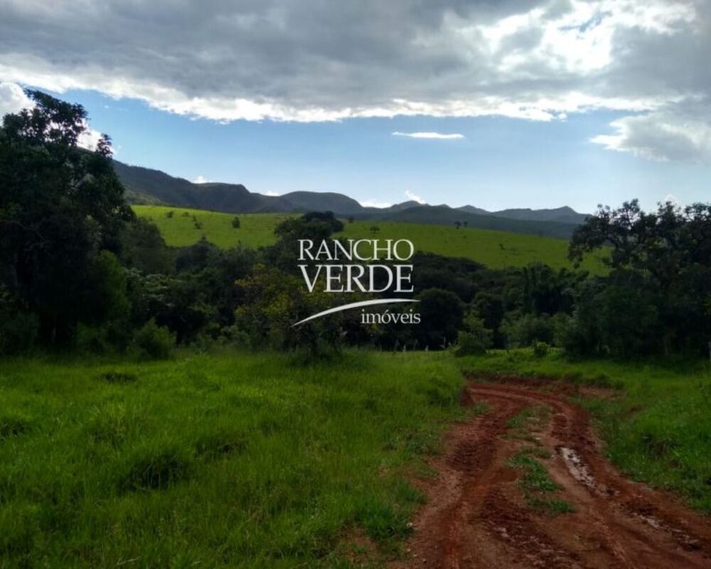 Fazenda, 1000 hectares - Foto 4