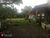 Chácara, 2 hectares - Foto 3