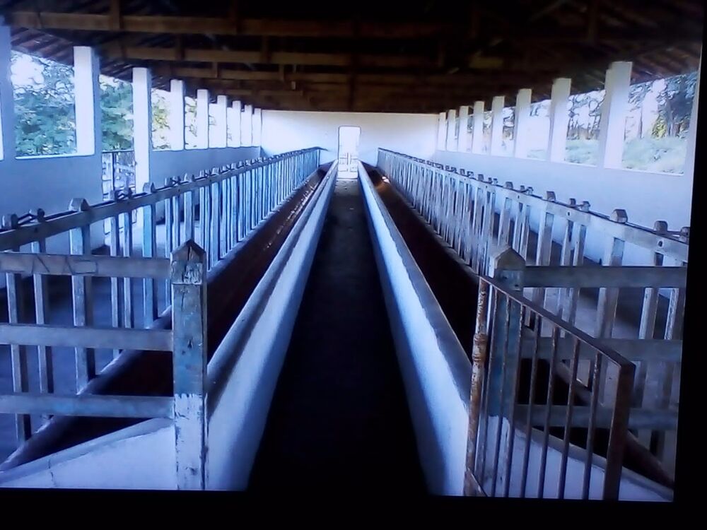 Sítio, 5 m² - Foto 3