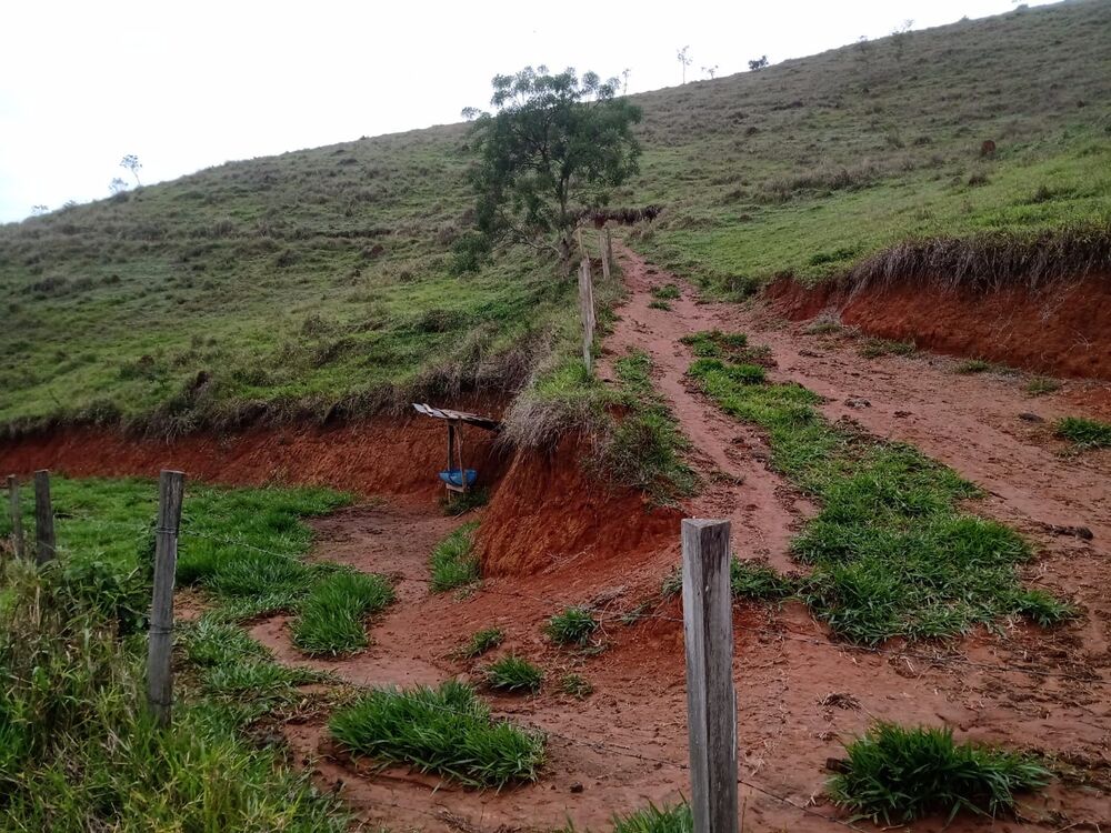 Haras e Área Rural Padrão à venda, 4m² - Foto 1