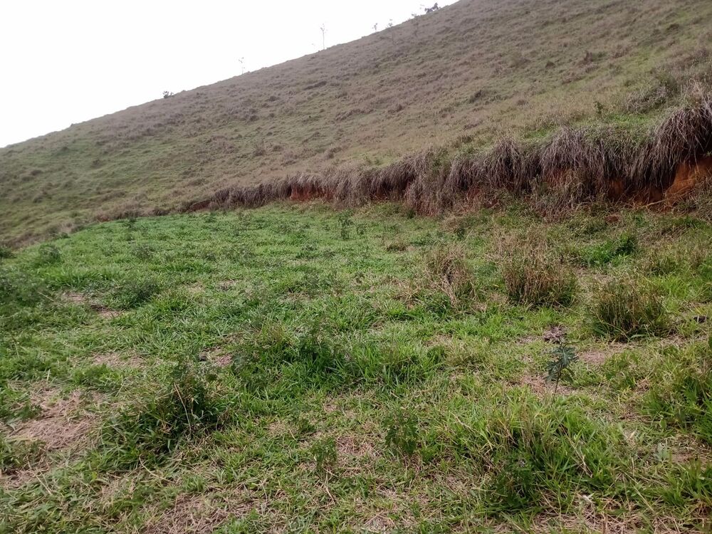 Haras e Área Rural Padrão à venda, 4m² - Foto 3