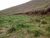 Fazenda, 4 m² - Foto 3
